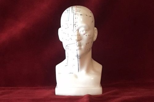 acupuncture channels marked on a white model of head