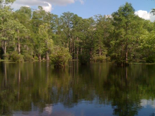 lake with trees and clouds reflected by the water